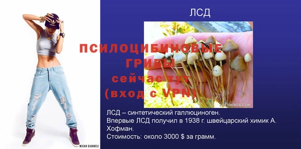 ECSTASY Надым