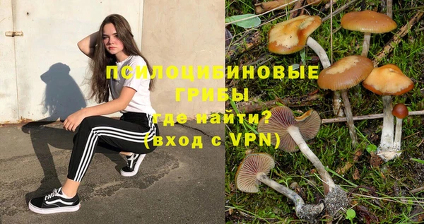 дживик Болотное