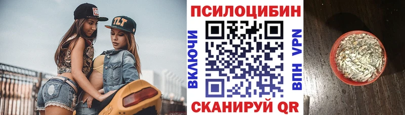 mega маркетплейс  Нерехта  Галлюциногенные грибы Psilocybe 