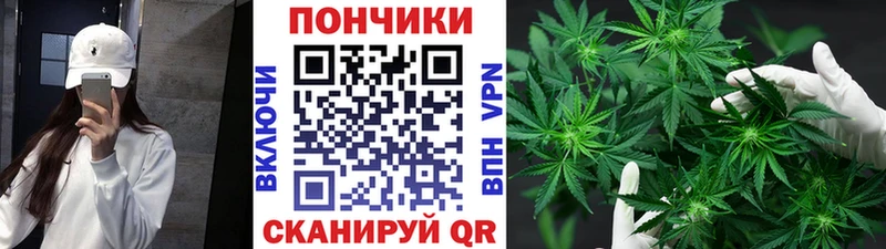 Канабис семена  Нерехта 
